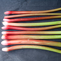 Richard's Rhubarb