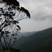 Rwenzori mountains